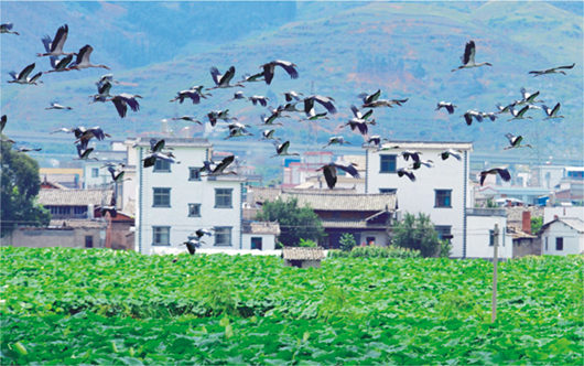強(qiáng)化招商引資 推進(jìn)園區(qū)建設(shè)——訪市黨代表、工業(yè)園區(qū)主任李俊龍