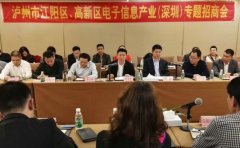 江陽區(qū)、瀘州國家高新區(qū)在深圳開展專題招商