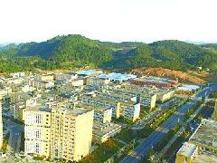推動提高醫(yī)藥產(chǎn)業(yè)規(guī)劃發(fā)展水平