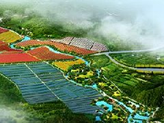 鄭州市工信局：積極構(gòu)建管城區(qū)、經(jīng)開區(qū)、中牟縣“兩區(qū)一縣”氫燃料電池汽車