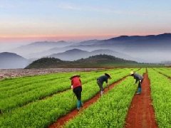 【解讀】2020年產業(yè)園區(qū)規(guī)劃要點