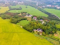 智慧園區(qū)規(guī)劃 | 產業(yè)園區(qū)該如何應對突發(fā)公共事件？