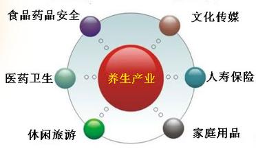 我國智慧健康養(yǎng)老產業(yè)運營模式探究