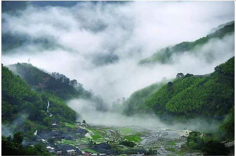 四、農(nóng)村一二三產(chǎn)業(yè)融合發(fā)展先導區(qū)項目