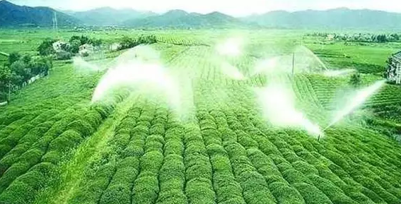重磅！2019中央一號文件即將發(fā)布！大農(nóng)業(yè)領(lǐng)域迎來新機(jī)遇