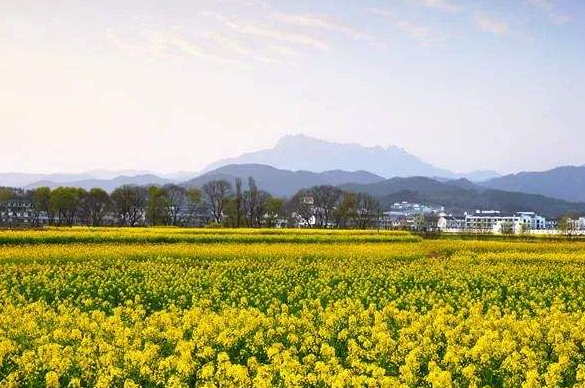 安慶潛山：突出個性特色，推動鄉(xiāng)村振興