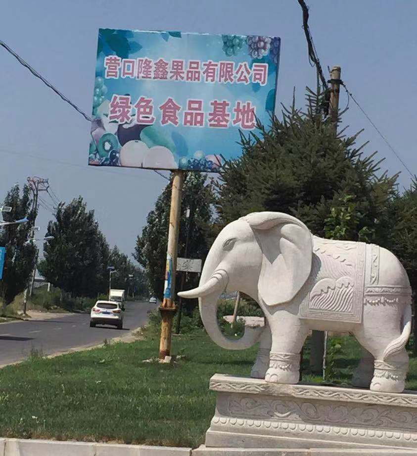 東北水果之鄉(xiāng)迎來(lái)發(fā)展新機(jī)遇，蓋州爭(zhēng)創(chuàng)省級(jí)現(xiàn)代農(nóng)業(yè)產(chǎn)業(yè)園