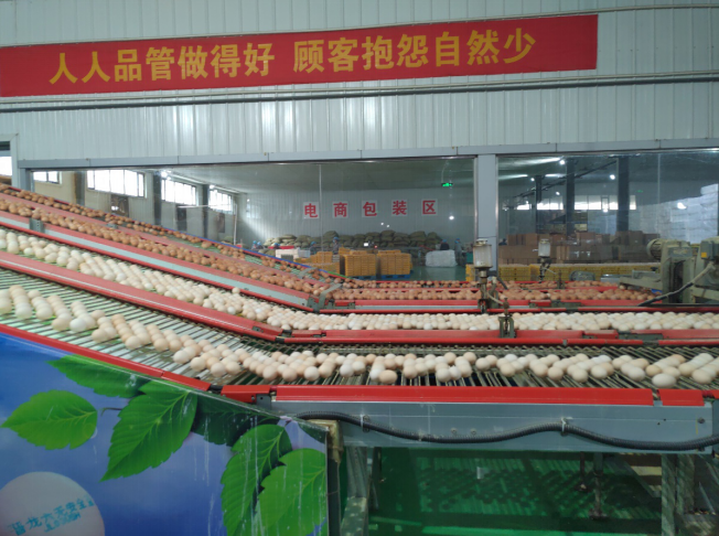后稷故里，板棗之鄉(xiāng)——山西省稷山縣大力爭創(chuàng)國家現(xiàn)代農(nóng)業(yè)產(chǎn)業(yè)園