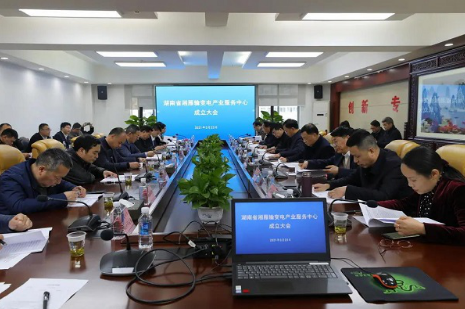湘雁輸變電產(chǎn)業(yè)服務(wù)中心在長沙成立，湖南輸變電產(chǎn)業(yè)開啟發(fā)展新篇章