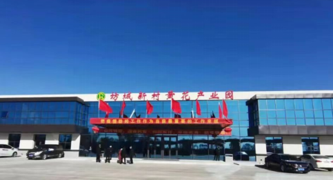 大同黃花，忘憂云州——云州區(qū)積極申創(chuàng)國(guó)家農(nóng)業(yè)現(xiàn)代化示范區(qū)