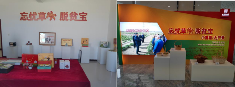 打造農(nóng)業(yè)綠色發(fā)展典范，云州區(qū)創(chuàng)建國(guó)家農(nóng)業(yè)綠色發(fā)展先行區(qū)勢(shì)在必行